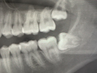 7510e593-5fff-4fa1-8722-254260f36248